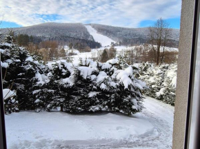 Mountain Laworta Ustrzyki Dolne